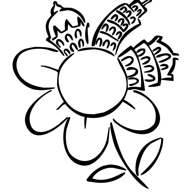 Logo Primavera in fiore 