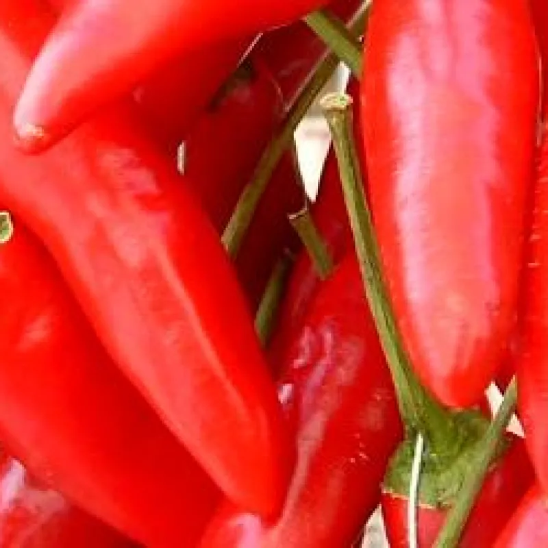 Peperoncini rossi