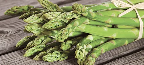 Torta salata asparagi e speck pronta, tagliata a fette per pranzo della domenica in famiglia con Speck Negroni